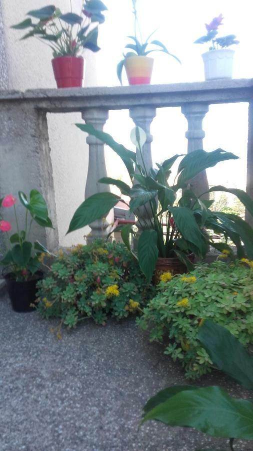 Apartment Bojana Novi Vinodolski Ngoại thất bức ảnh